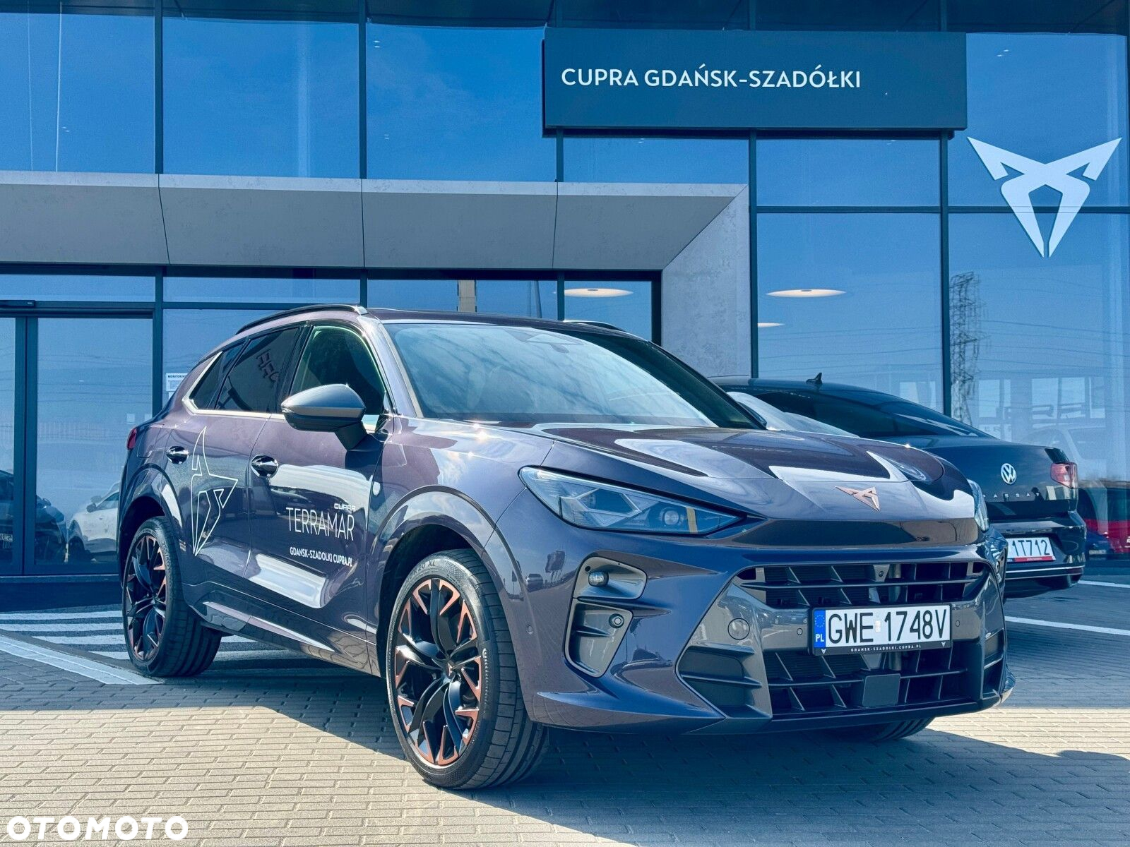 Cupra Terramar - 2