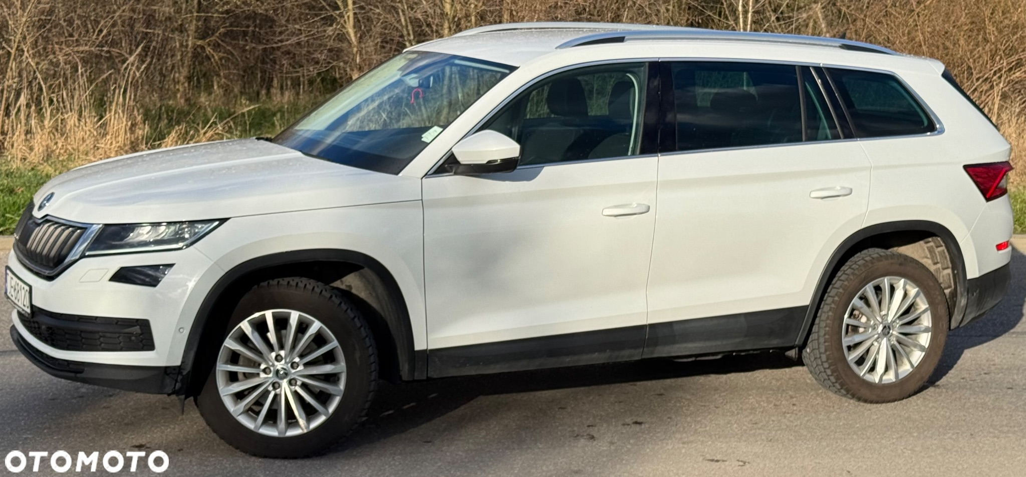 Skoda Kodiaq - 7