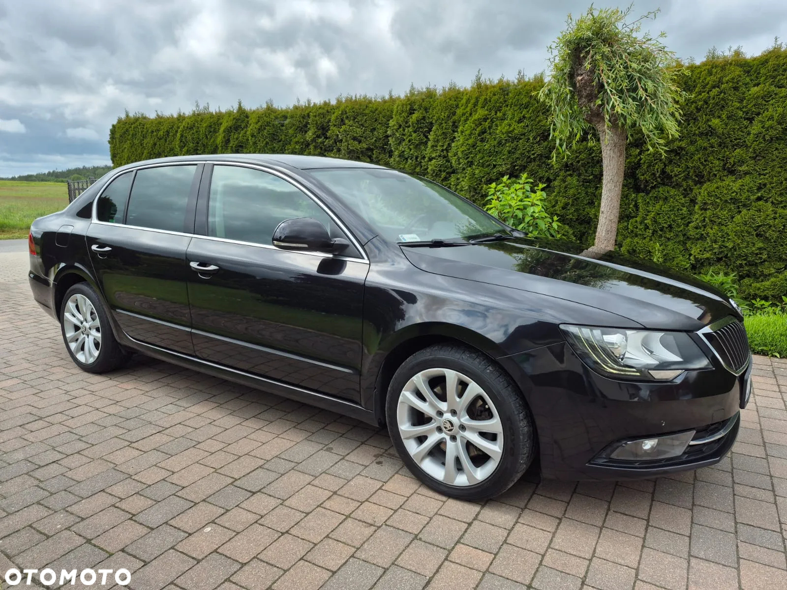 Skoda Superb 2.0 TDI Business DSG - 4