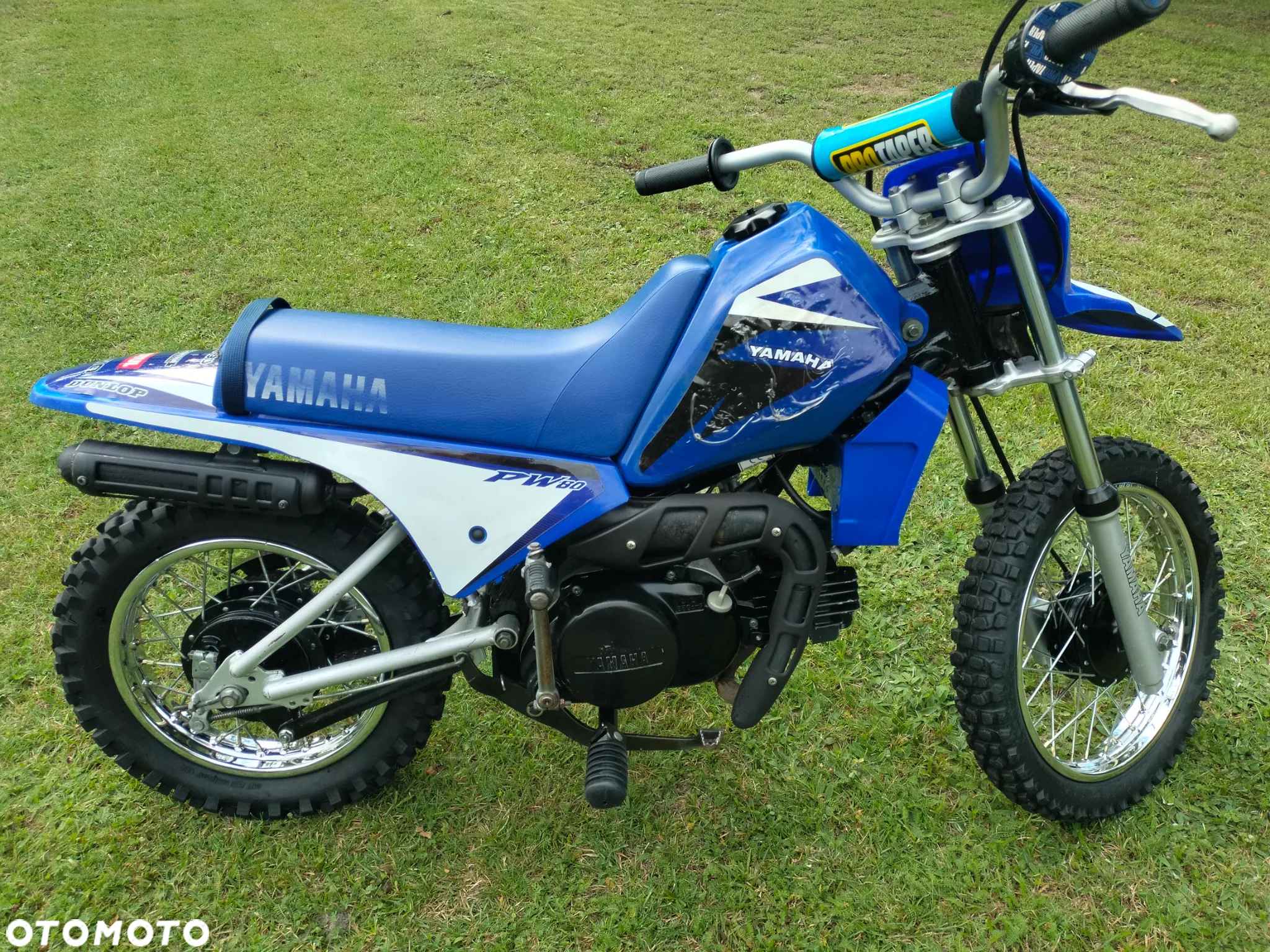 Yamaha PW
