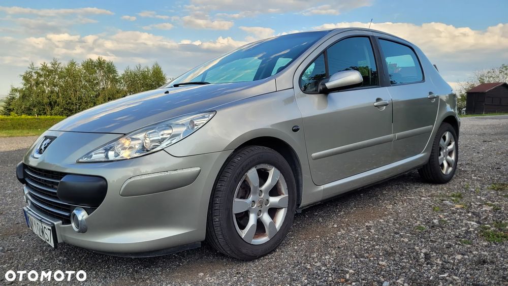 Peugeot 307 1.6 HDi - 9