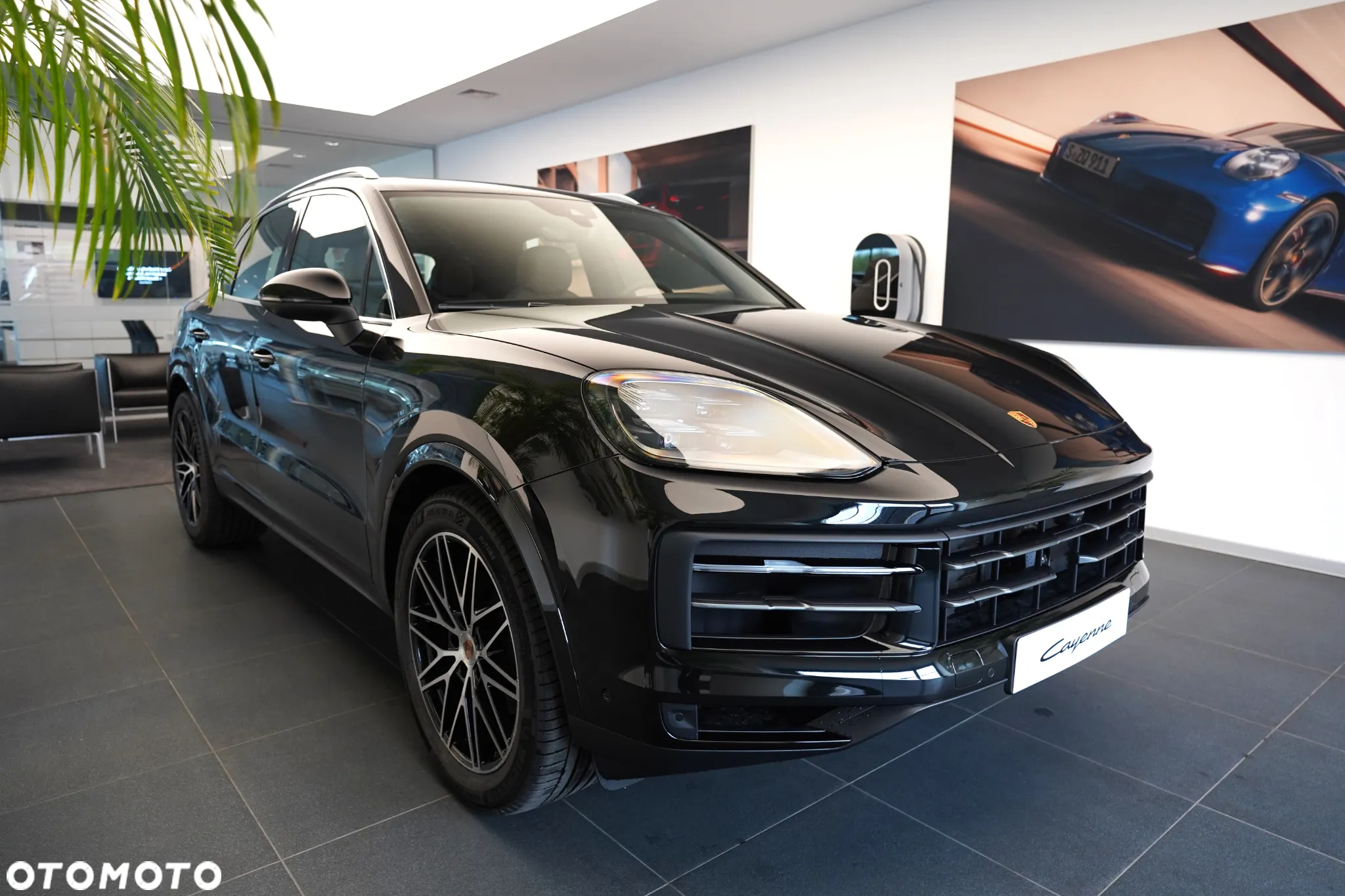 Porsche Cayenne Standard - 7