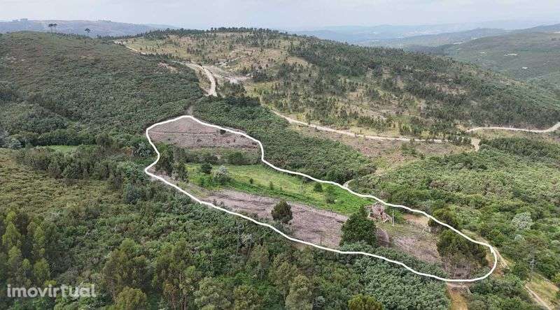Quinta para construçao e agricultura - Grande imagem: 4/9