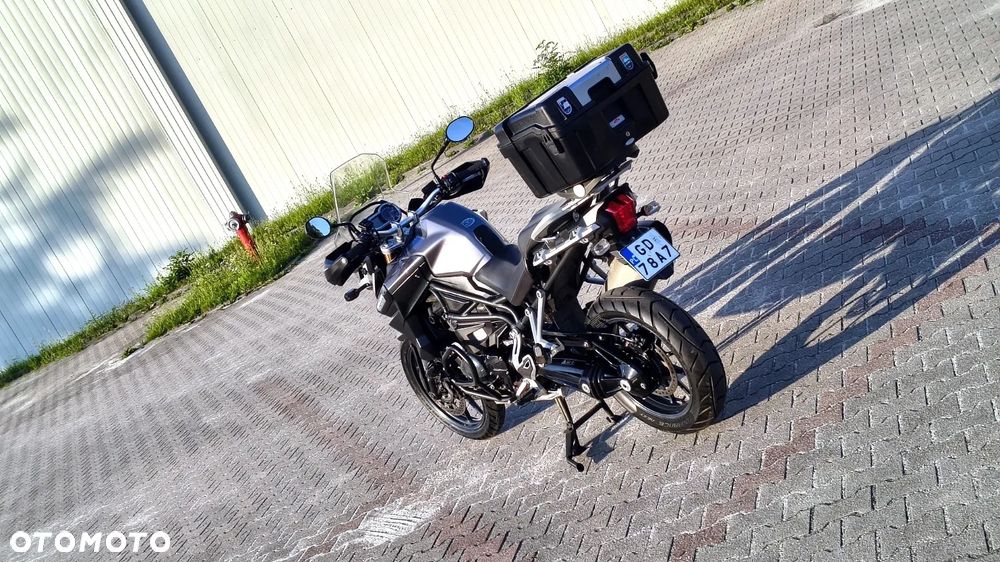 Triumph Tiger - 28