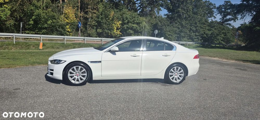 Jaguar XE - 2