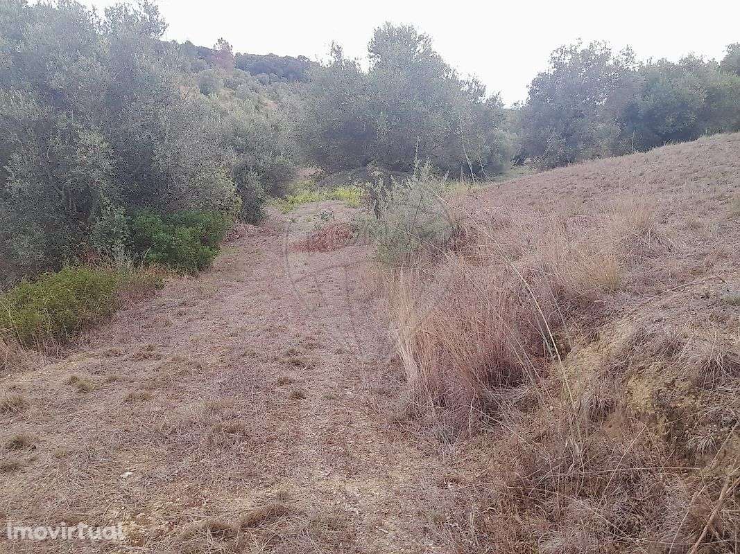 Terreno  para venda - Grande imagem: 2/23