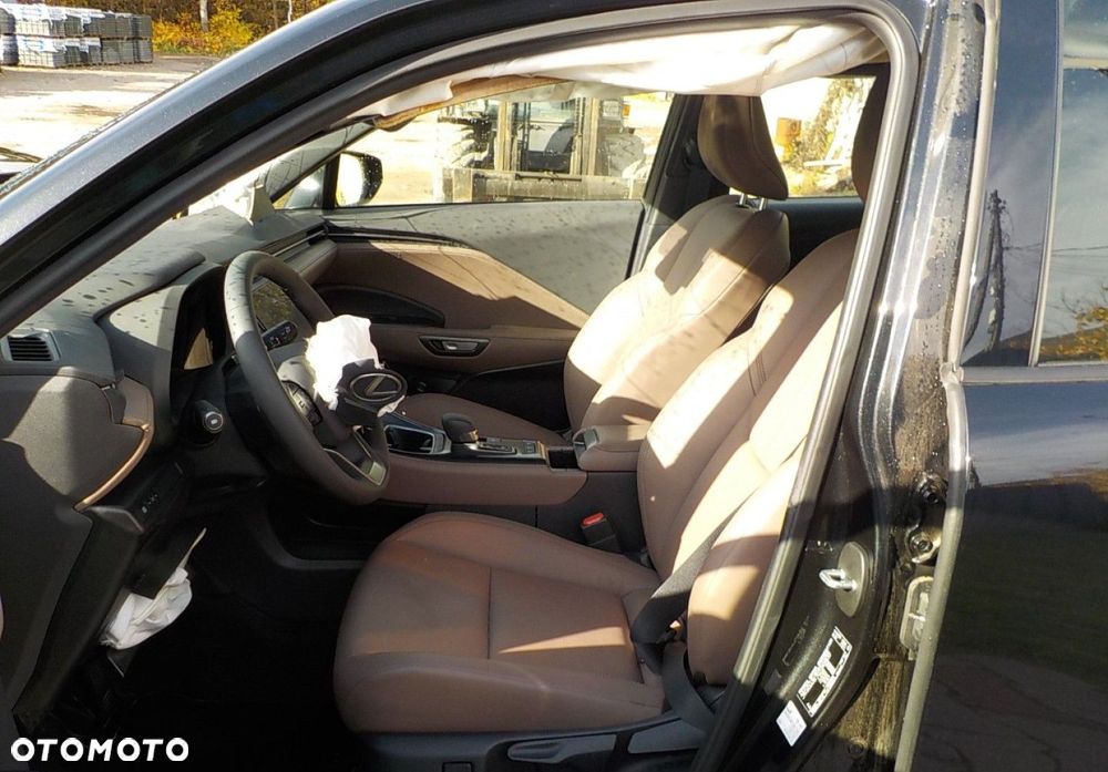 Lexus LBX - 19