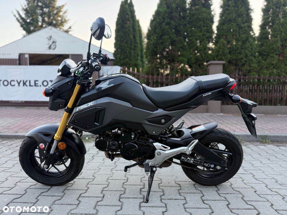 Honda MSX 125 - 19