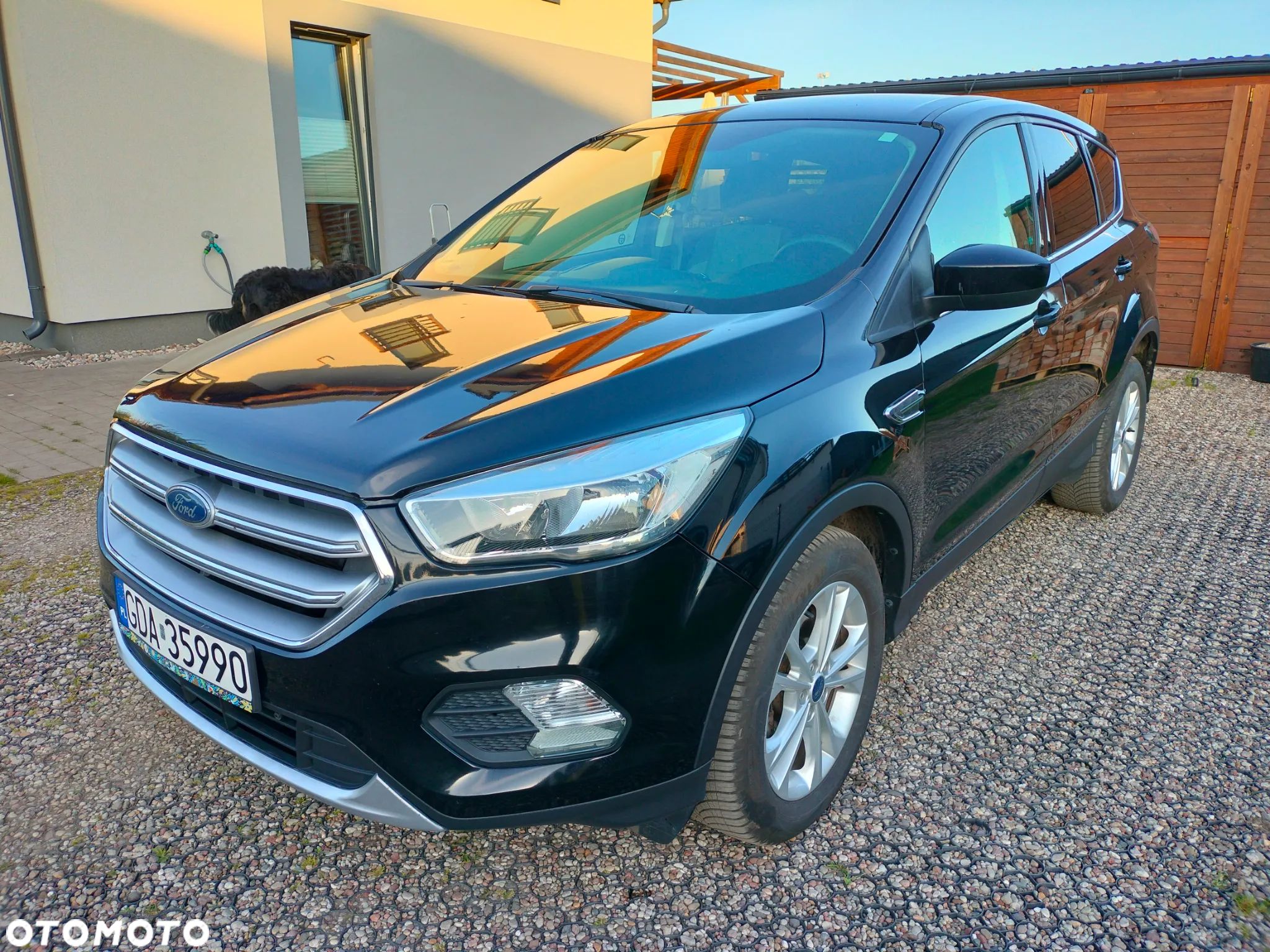 Ford Escape 1.5 EcoBoost AWD SE - 1
