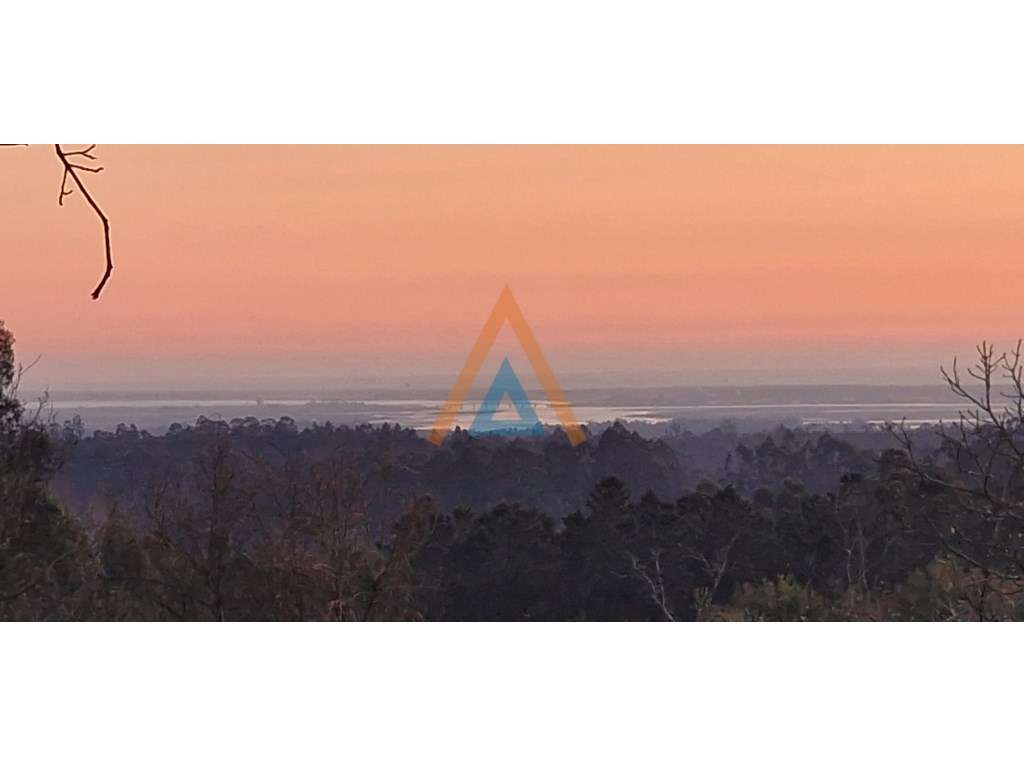 Oportunidade de investimento #bom negócio# - Grande imagem: 4/15