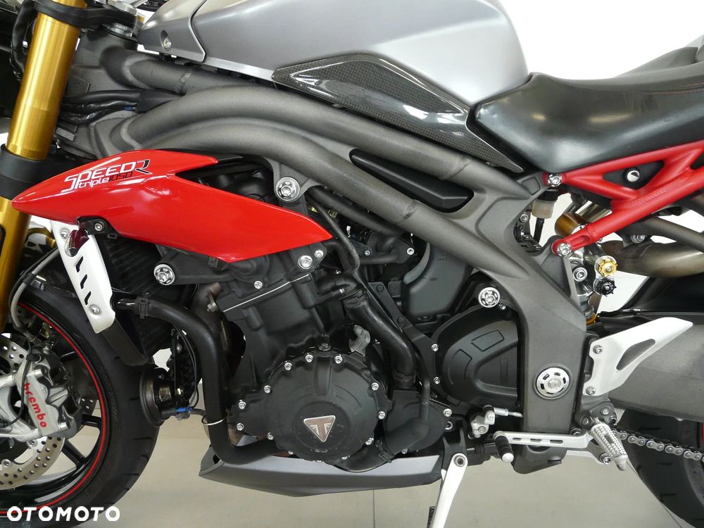 Triumph Speed Triple - 20