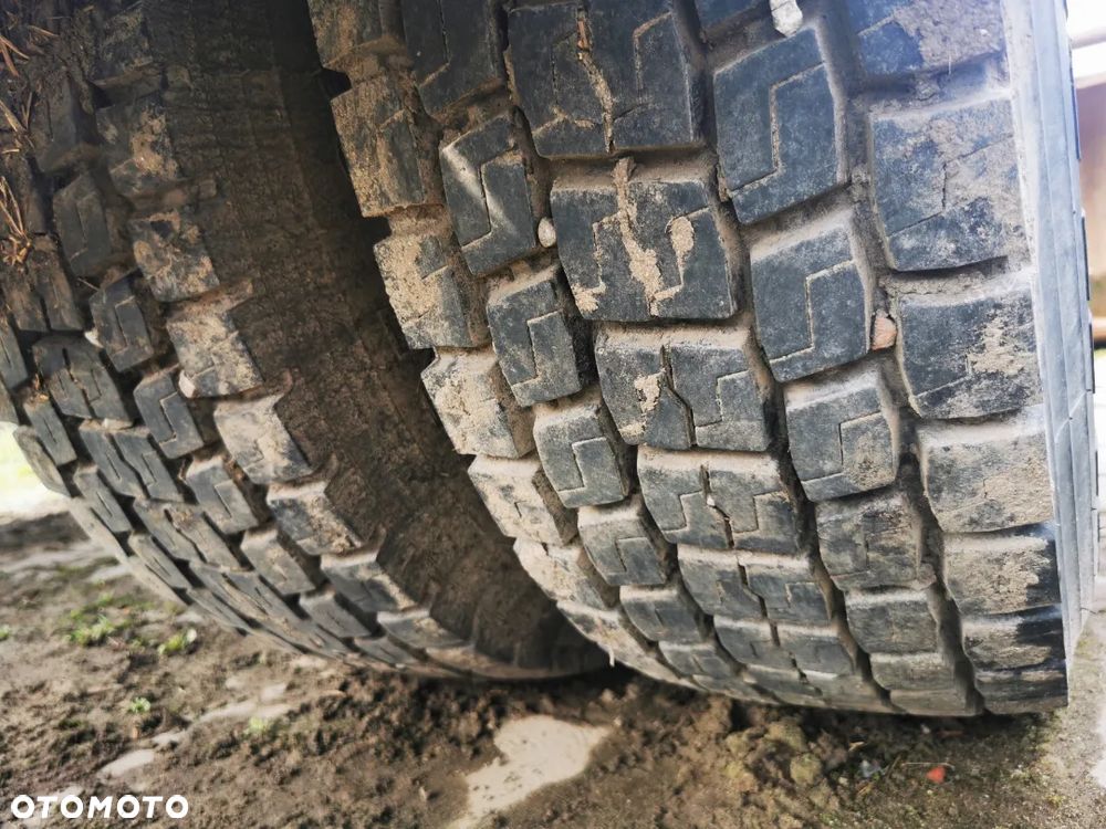 Müller-Mitteltal - 7