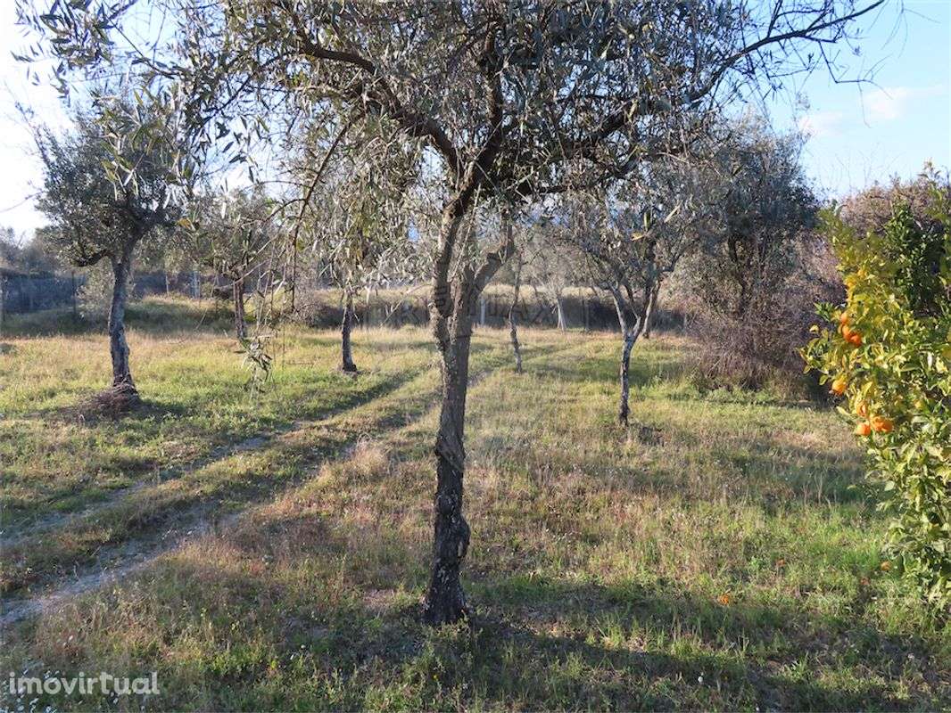 Quinta  para venda - Grande imagem: 4/21