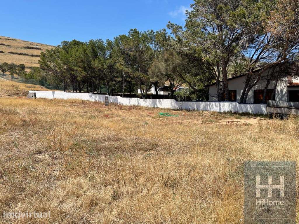 Terreno com projeto de moradia térrea T2 - Porto Santo - Grande imagem: 5/15