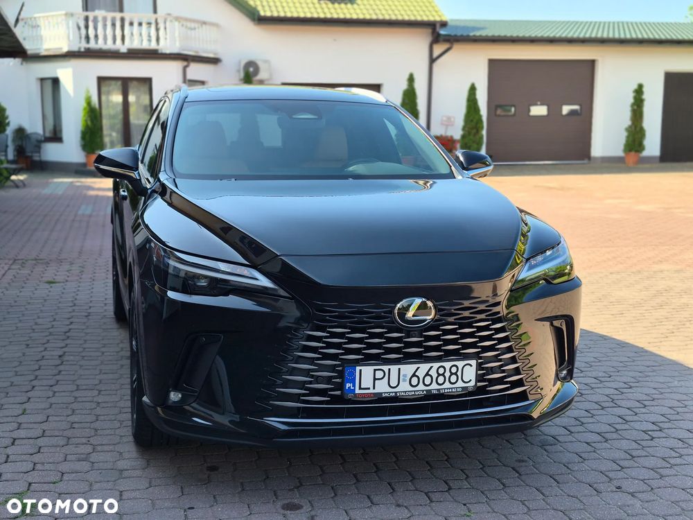 Lexus RX 350h (hybrid) Business - 6