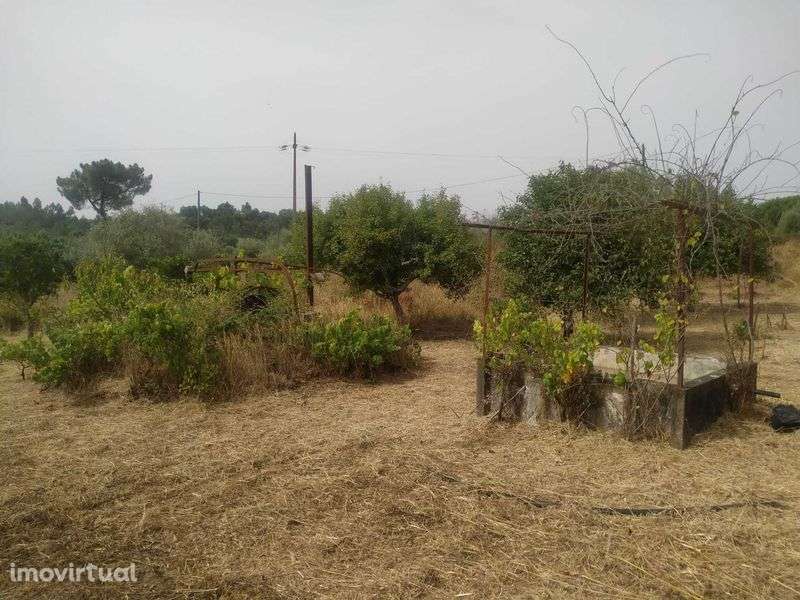 Terreno rústico Degracia - Gavião - Grande imagem: 3/11
