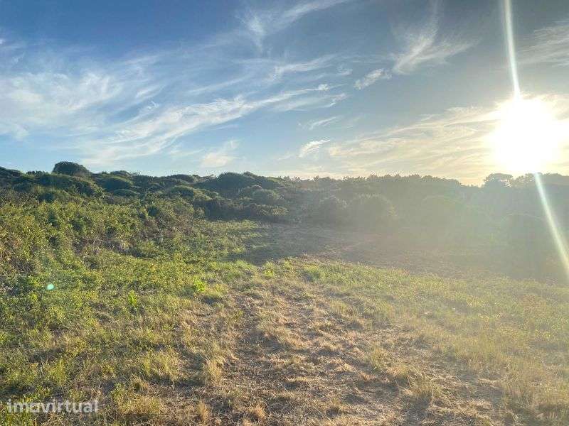 Terreno Rústico com Vista Mar em Fontanelas – 1.800 m² - Grande imagem: 4/4