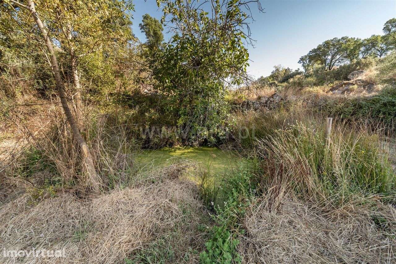 Terreno Rústico / Fundão, Pêro Viseu - Grande imagem: 3/20