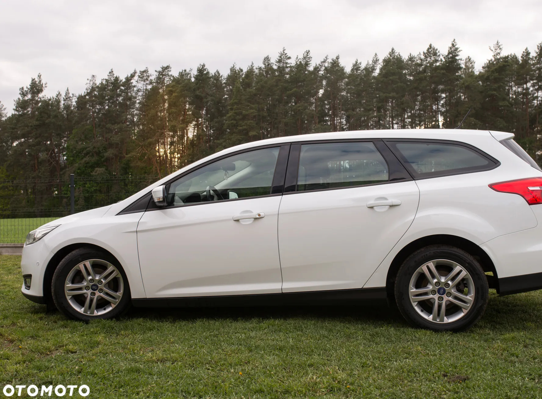 Ford Focus 1.5 EcoBlue Start-Stopp-System ACTIVE VIGNALE - 5
