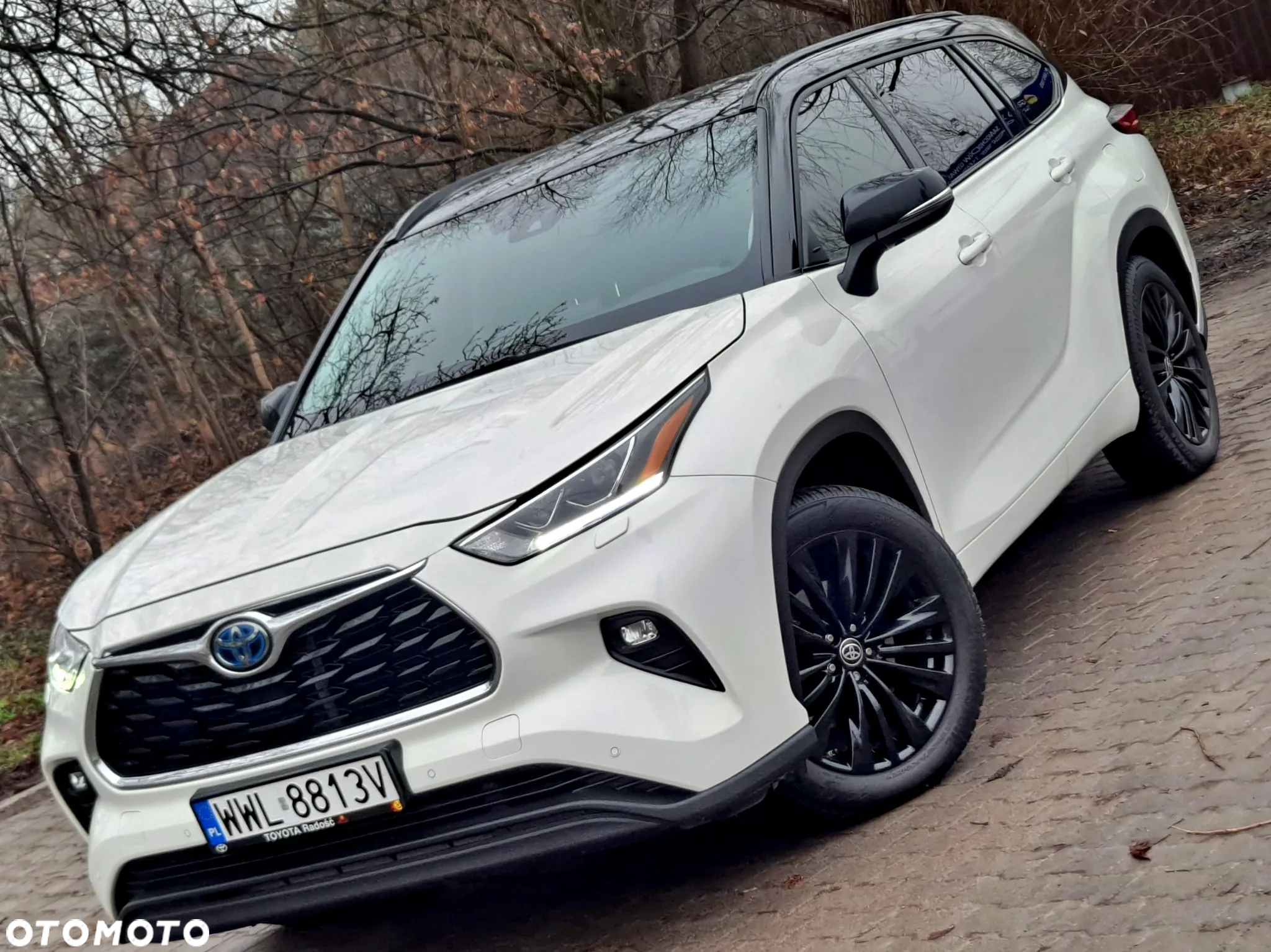 Toyota Highlander 2.5 Hybrid Executive - 2