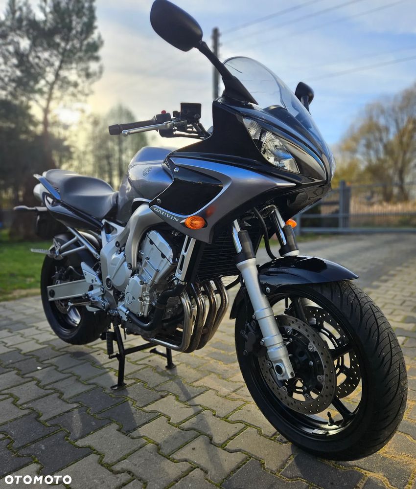 Yamaha FZ6 - 1