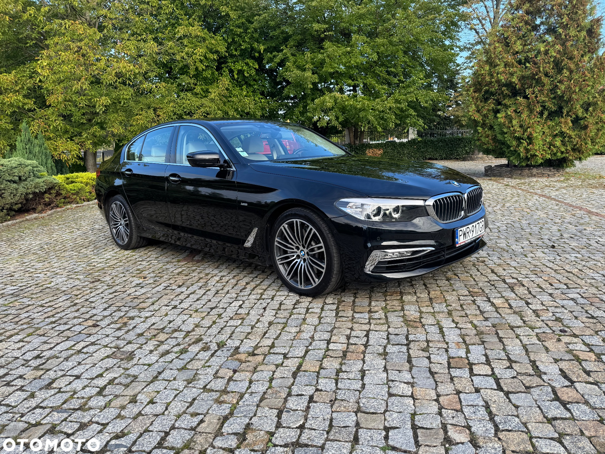 BMW Seria 5 530d Luxury Line sport - 16