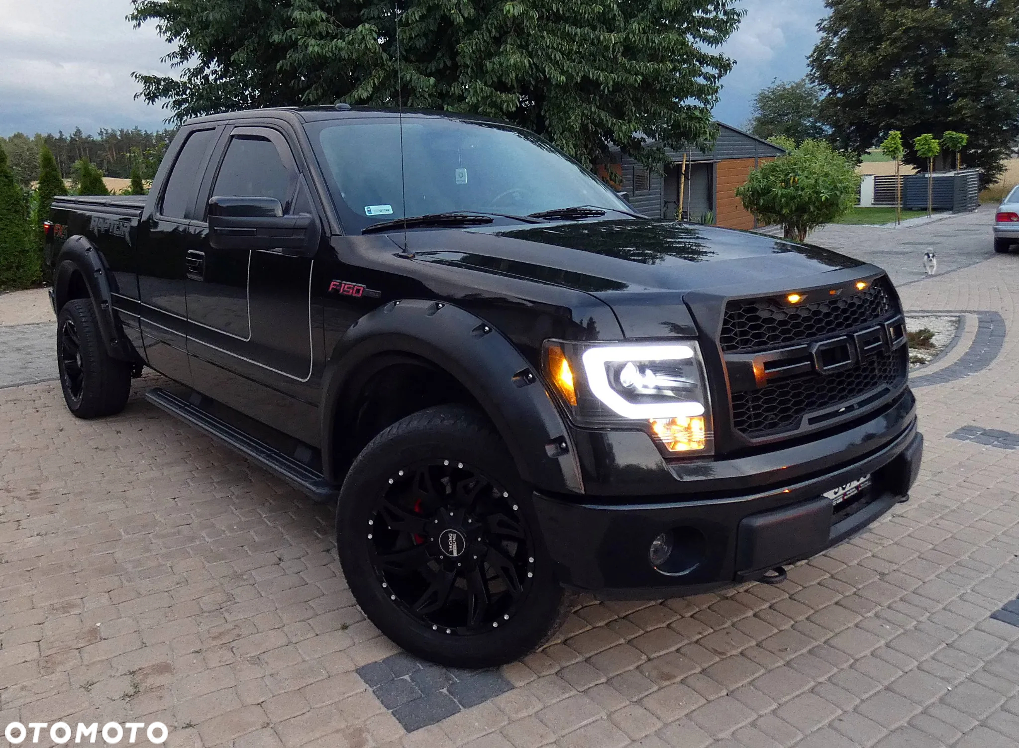 Ford F150 - 35