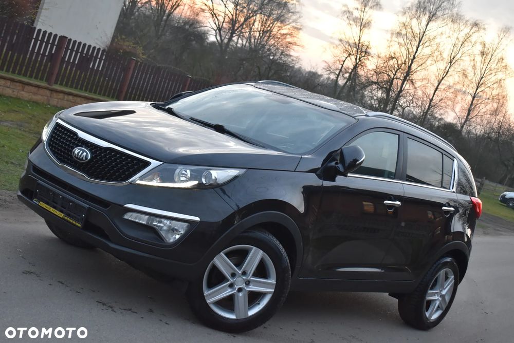 Kia Sportage - 1