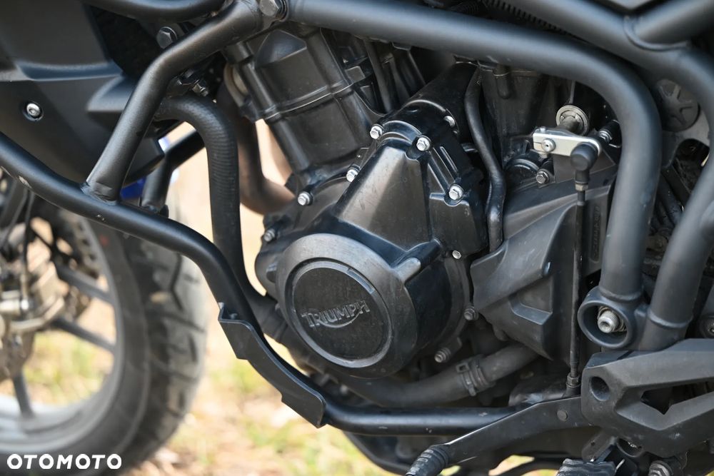 Triumph Tiger - 25