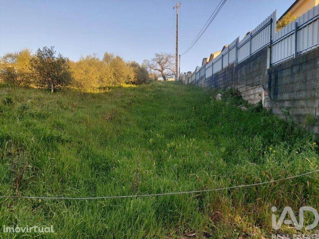 Terreno para construção em Batalha - Grande imagem: 2/23