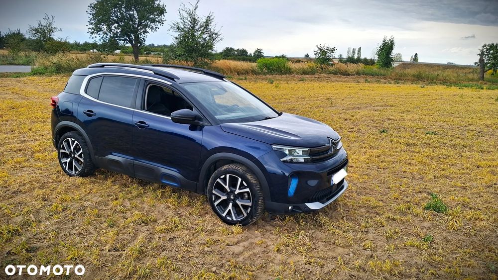 Citroën C5 Aircross BlueHDI 130 S&S EAT8 SHINE - 12