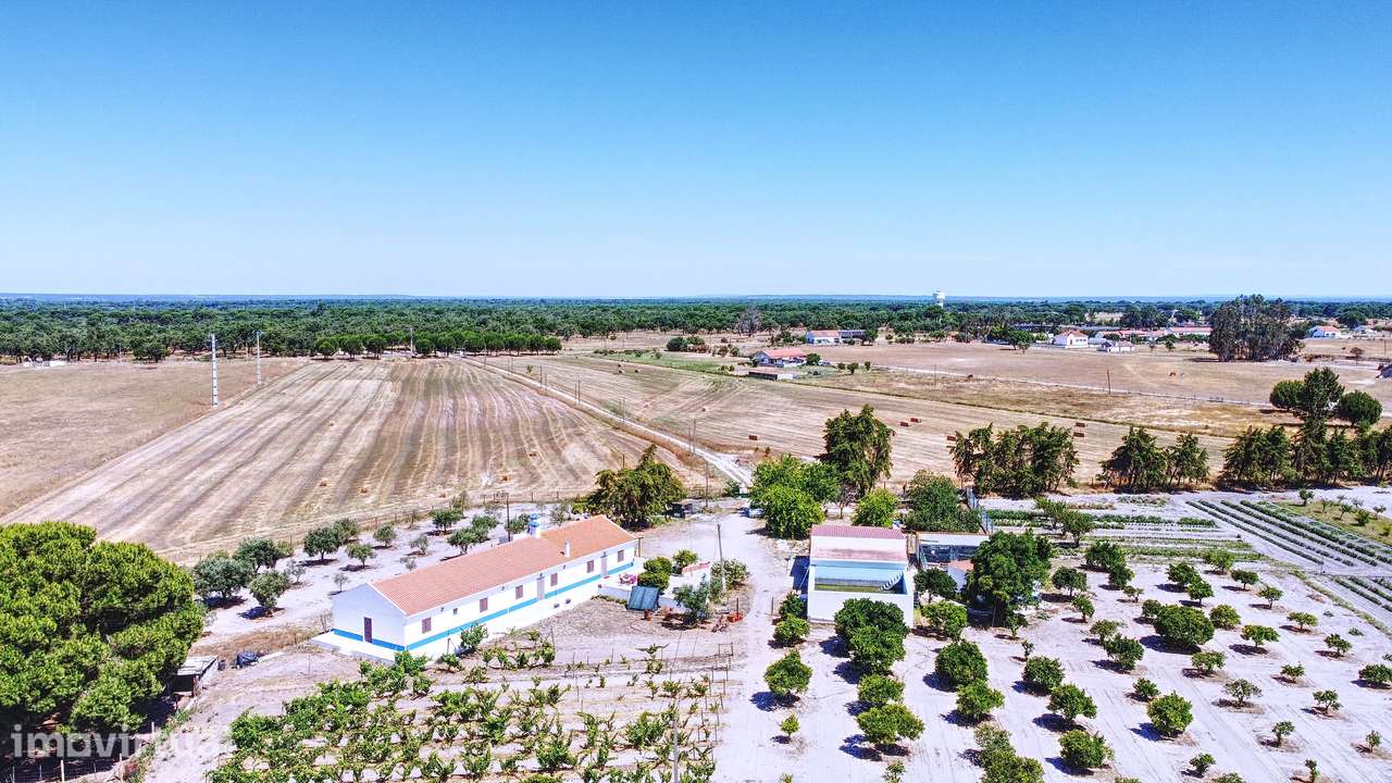 Paraíso no Alentejo - Grande imagem: 5/47