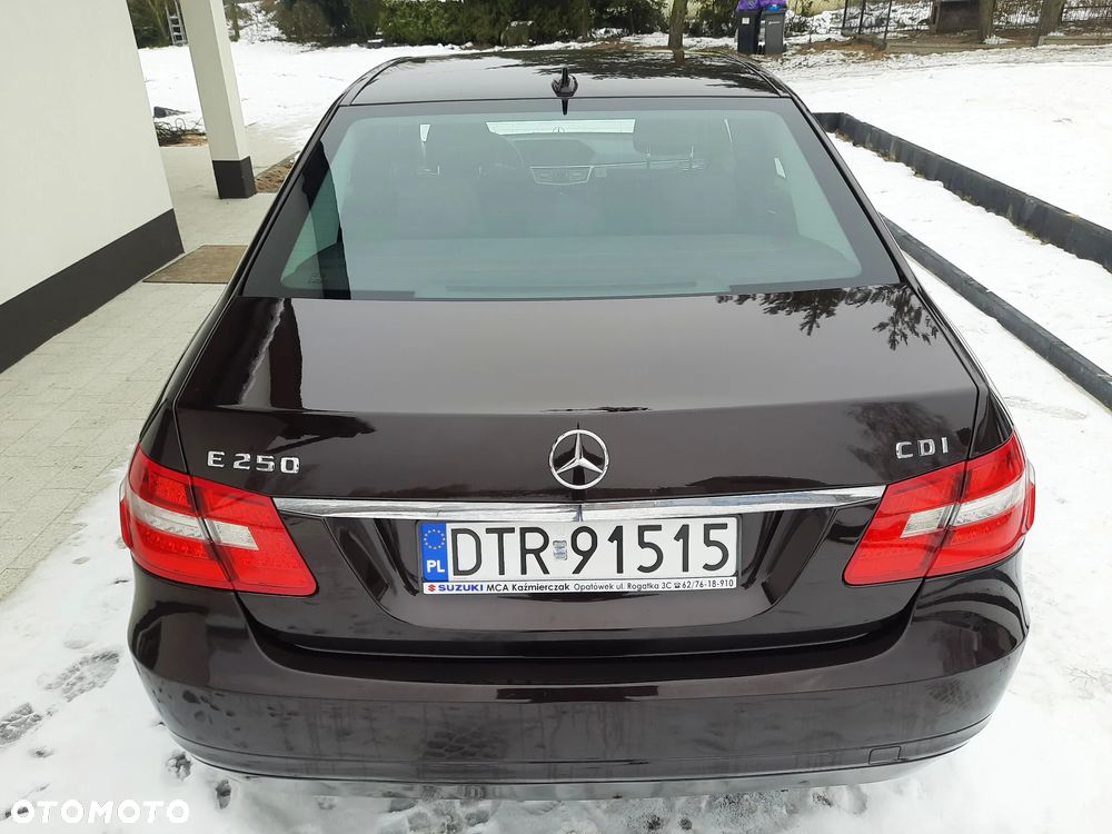 Mercedes-Benz Klasa E 250 CDI 4-Matic BlueEff - 13