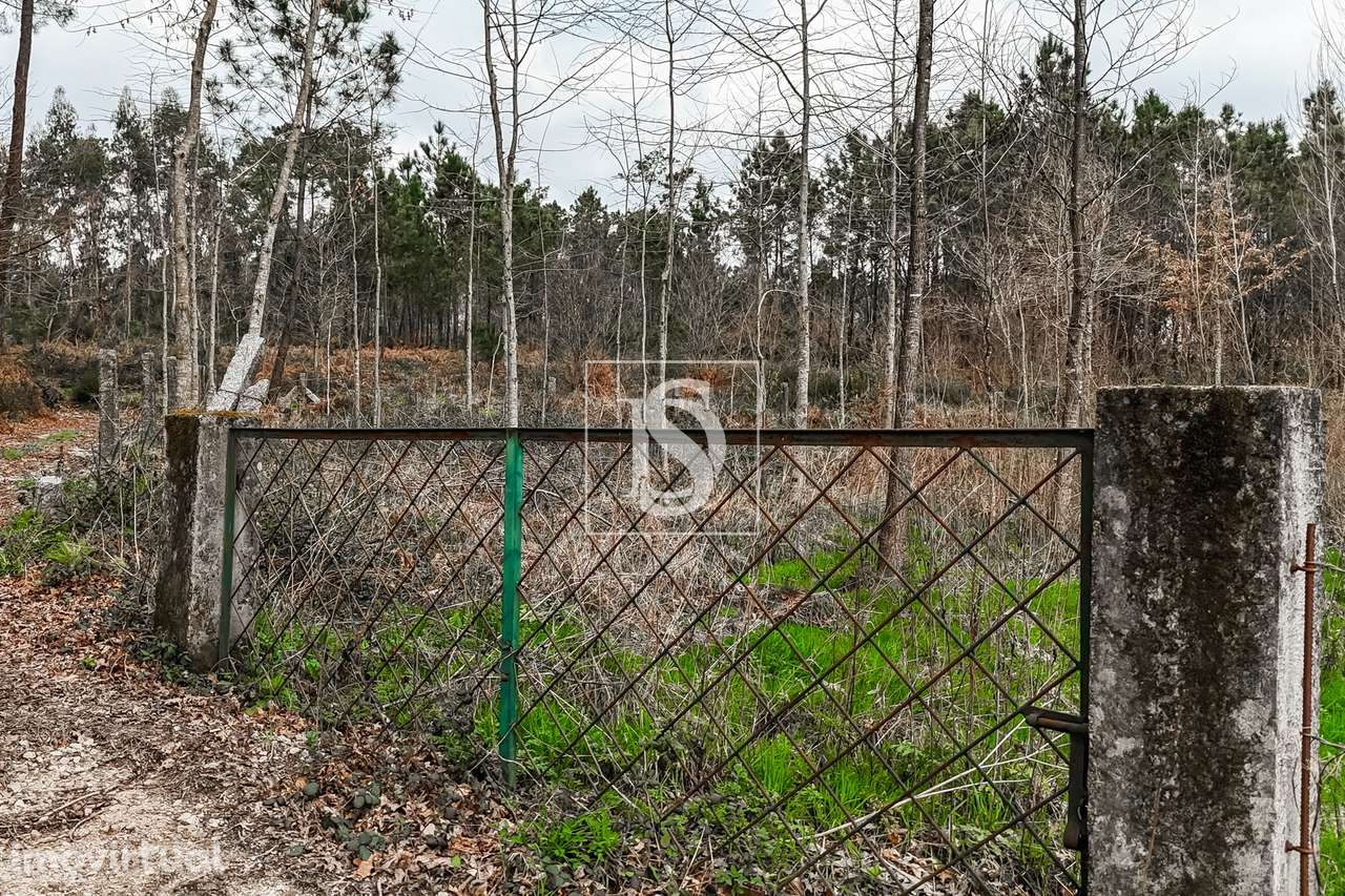 Terreno Rústico  Venda em Associação de freguesias do Vale do Neiva,Po - Grande imagem: 5/20