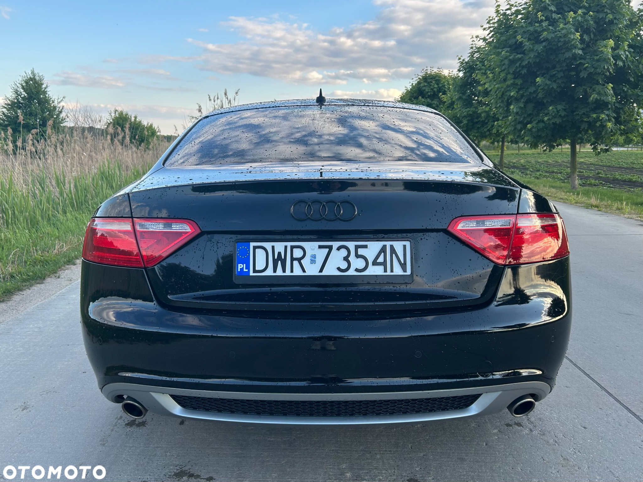 Audi A5 2.7 TDI Multitronic - 10