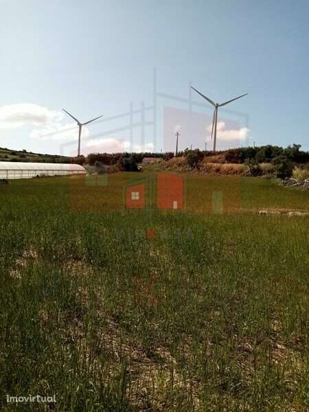 terreno rustico em Fontelas , com 1200 m2. - Grande imagem: 2/3