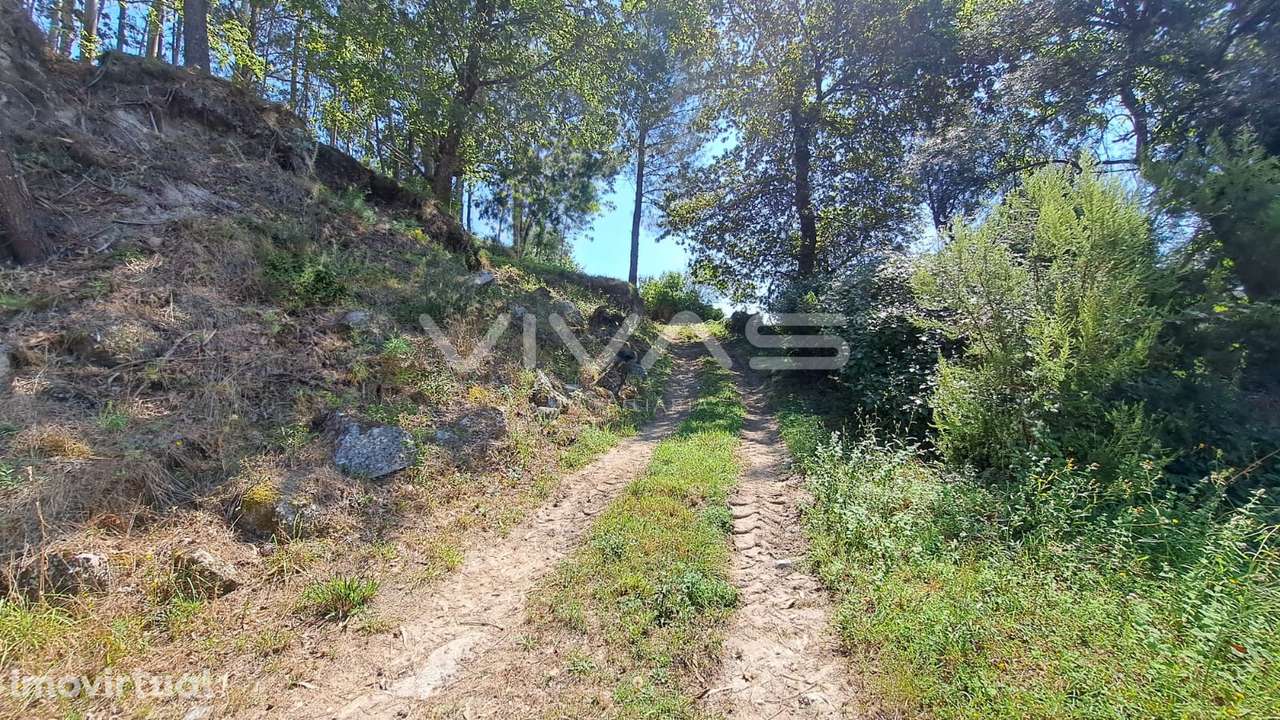 Terreno  Venda em Caldelas, Sequeiros e Paranhos,Amares - Grande imagem: 4/20