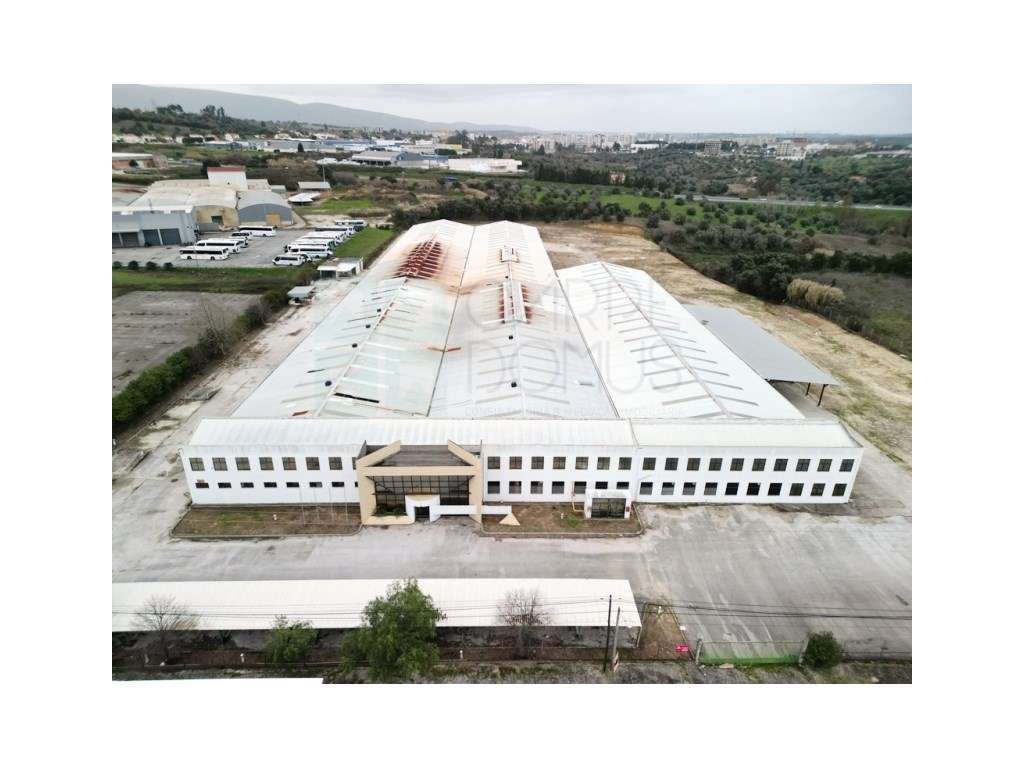 Armazém Industrial com 12.000m2, em Torres Novas, Santarém - Grande imagem: 2/60