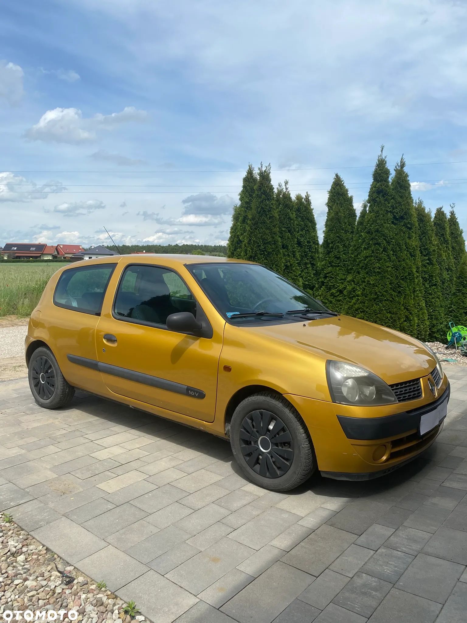 Renault Clio - 1