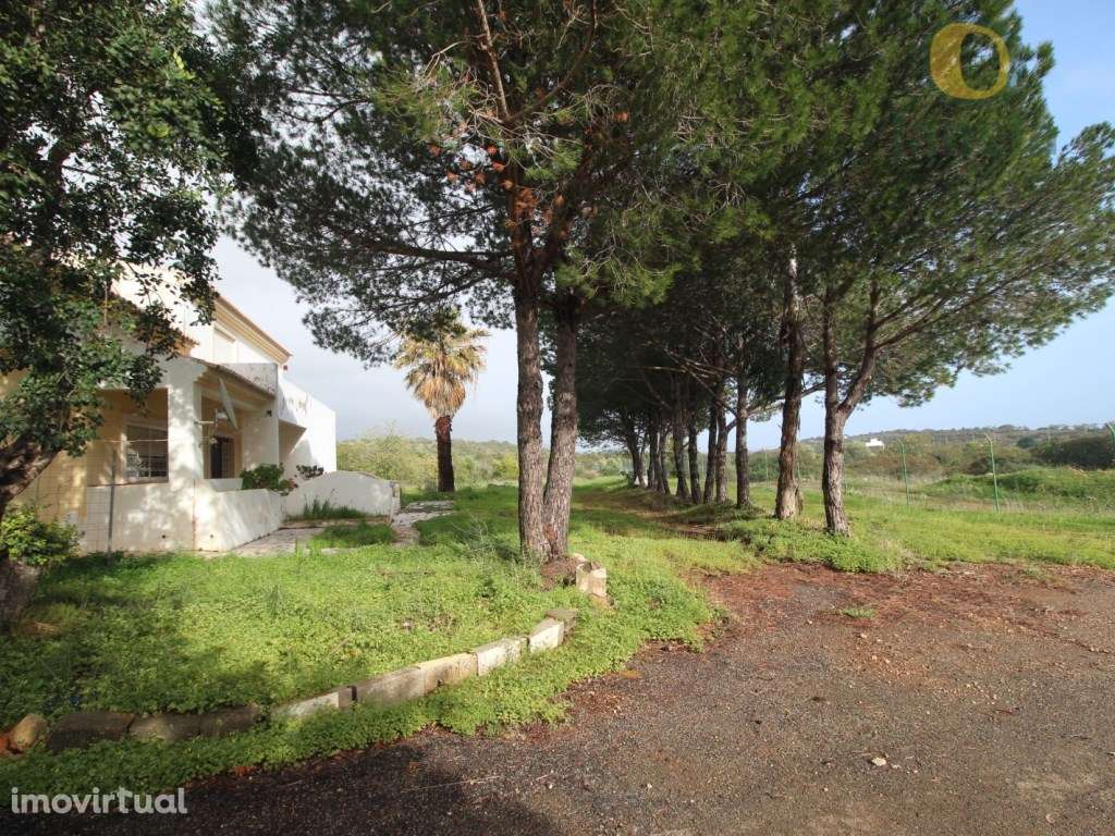 Extraordinária quinta em Santa Bárbara de Nexe com 10.000 m2 - Grande imagem: 4/4