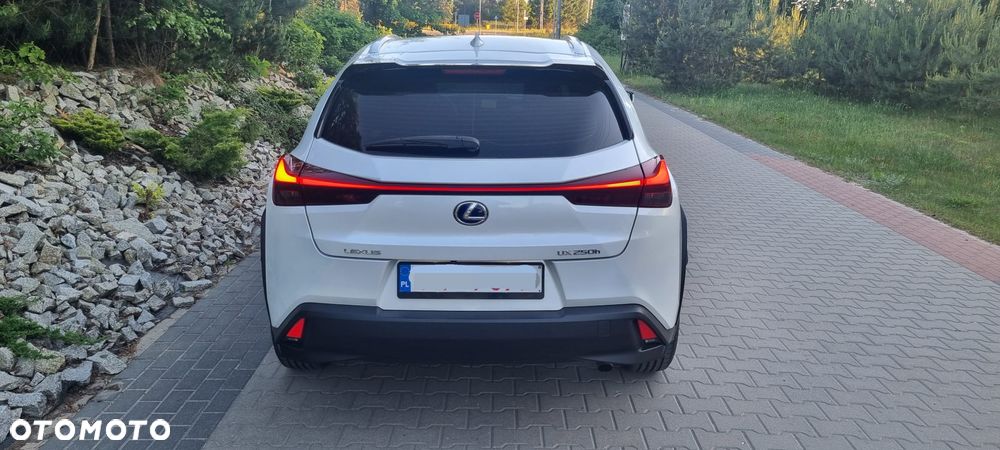 Lexus UX 250h F Sport 2WD - 7