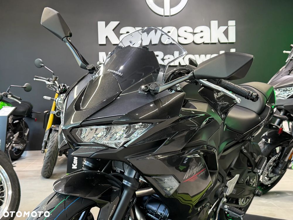 Kawasaki Ninja - 10