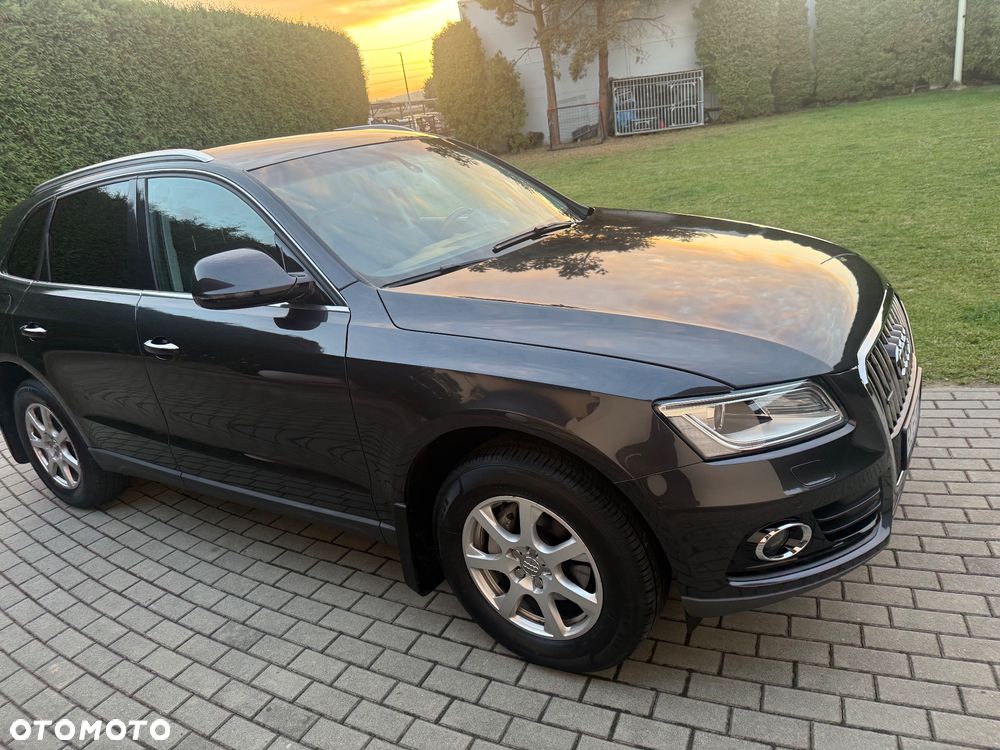 Audi Q5 2015 photo 5