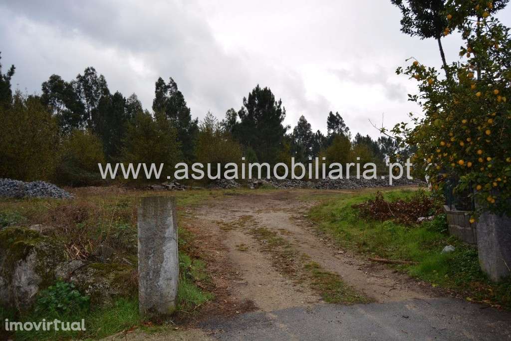 Terreno - Dornelas - Grande imagem: 2/5