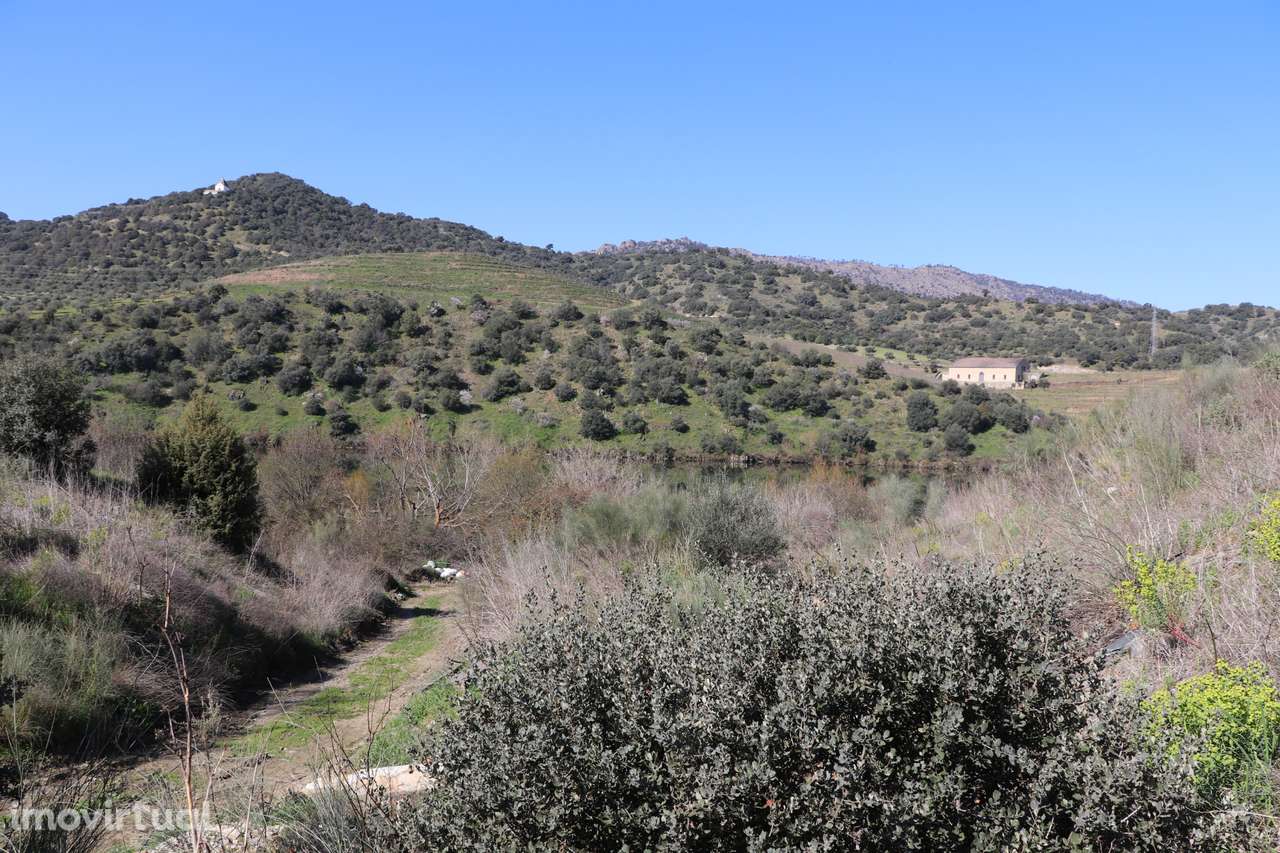 Quinta  Venda em Torre de Moncorvo,Torre de Moncorvo - Grande imagem: 2/34