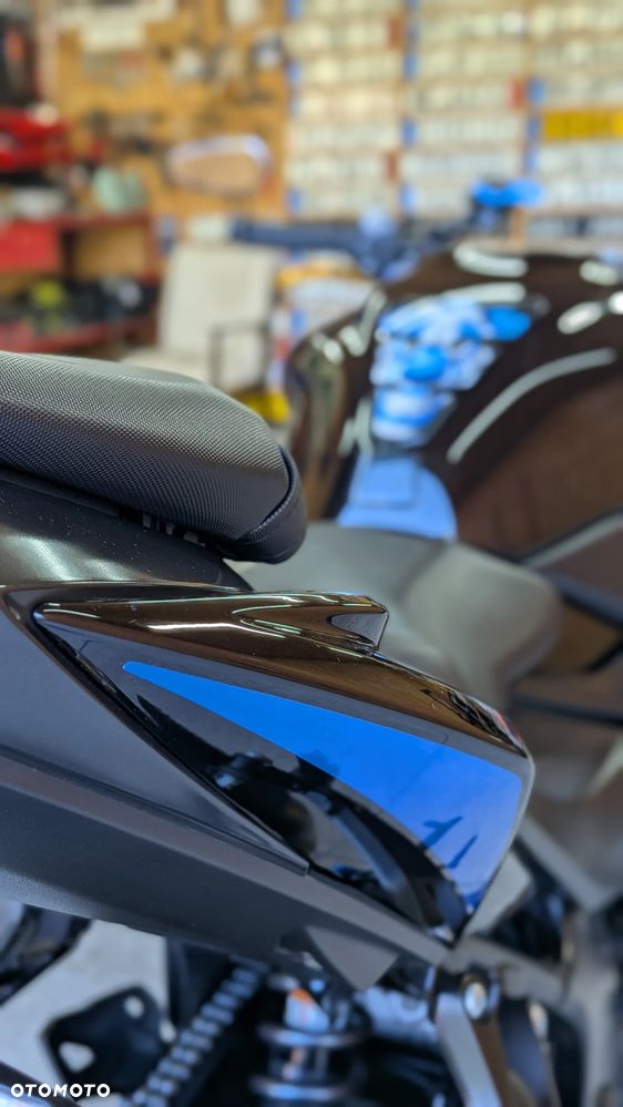 Suzuki GSX - 13