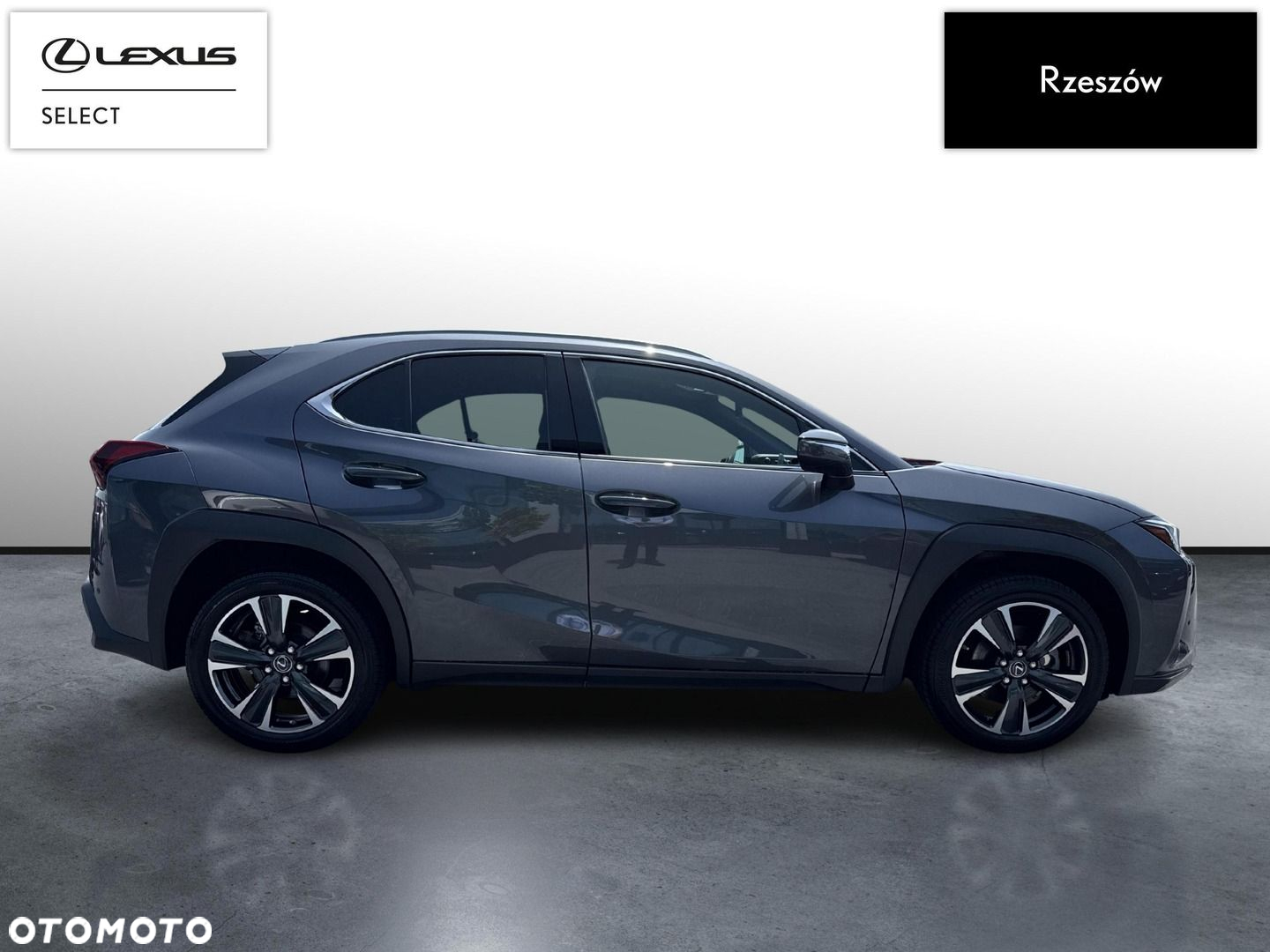 Lexus UX - 6