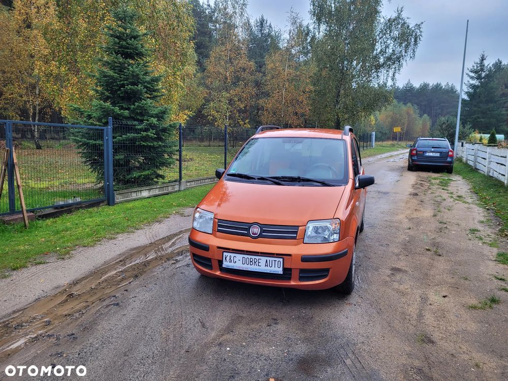 Fiat Panda 1.2 Dynamic Plus - 1