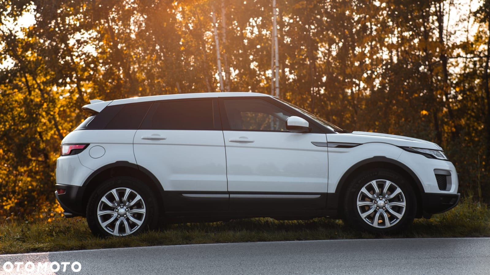 Land Rover Range Rover Evoque 2.0TD4 SE - 8