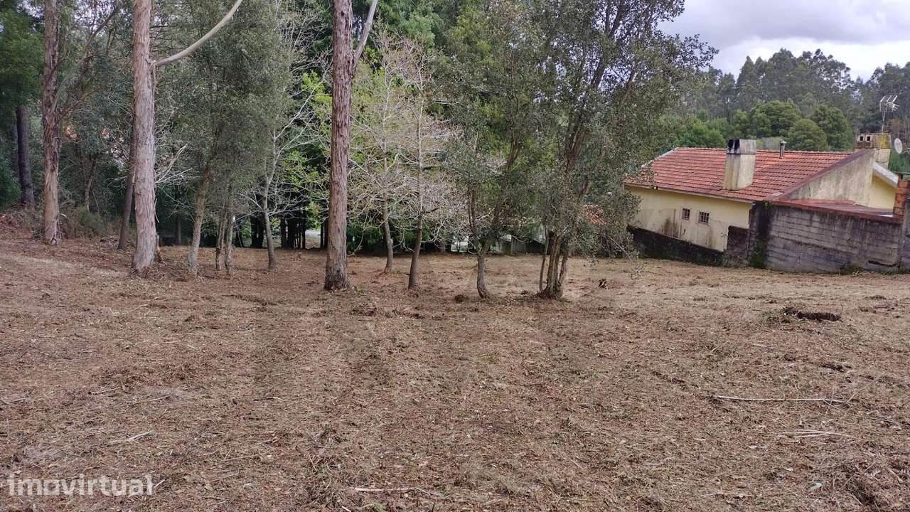Oportunidade Única: Terreno para Construção em Anta, Espinho (38.5€/m2 - Grande imagem: 3/6